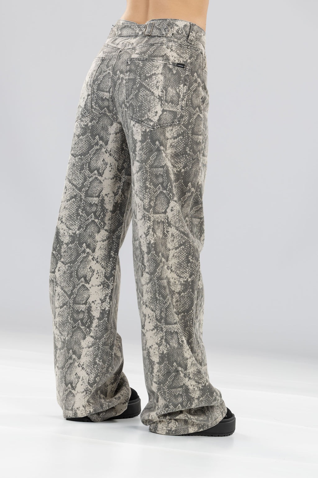 Jean Slithet python recto